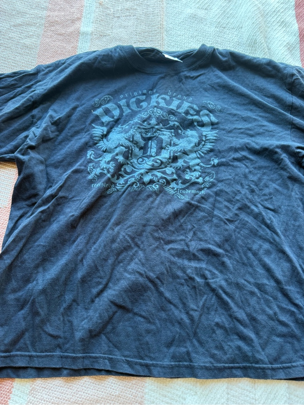 Dickies Blue Graphic Short Sleeve Tee